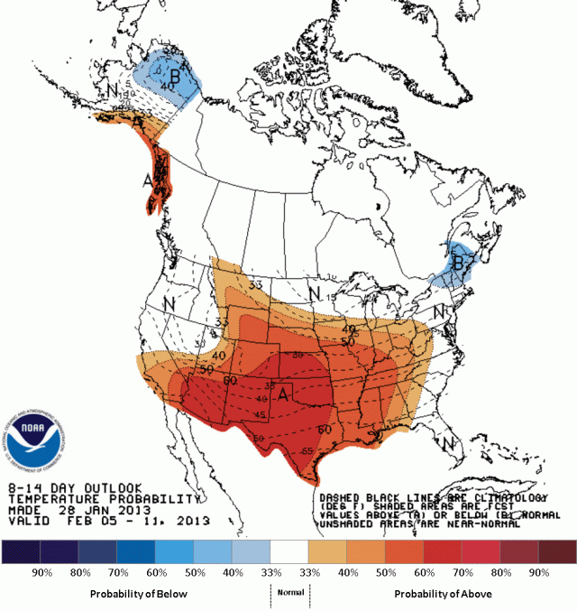 and the week after next as well!