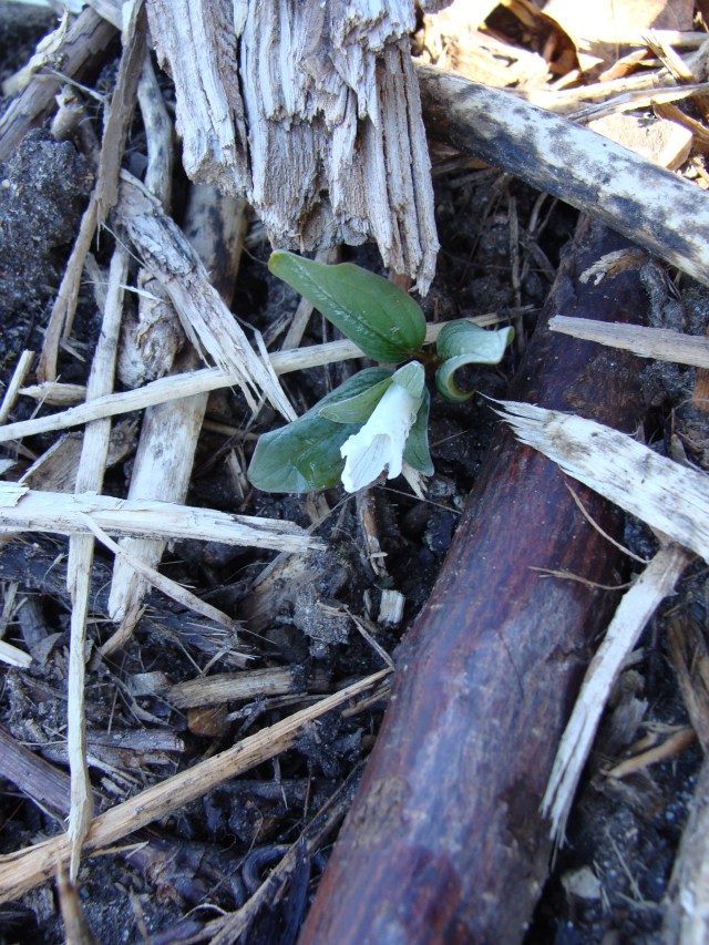 The view at my feet. 